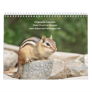Calendrier Chipmunk 2025
