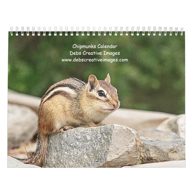 Calendrier Chipmunk 2026 (Protection)