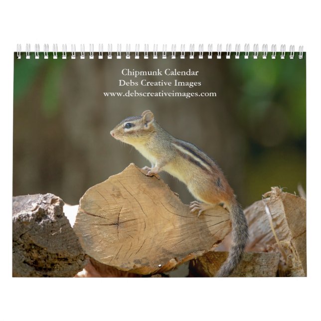 Calendrier Chipmunk 2026 (Protection)
