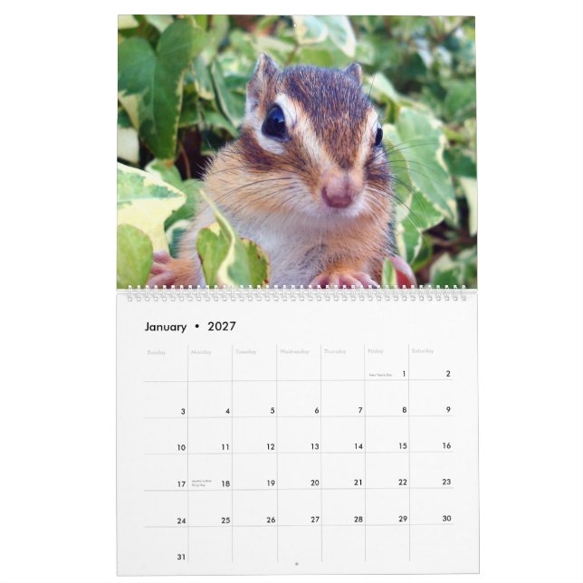Calendrier chipmunk  (All country) (Jan 2027)