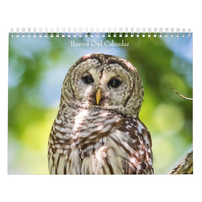 Calendrier Chouette barrée 2026 (Protection)