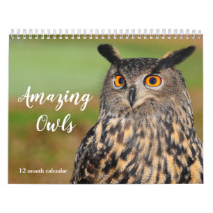 Calendrier Chouettes Extraordinaires 2026