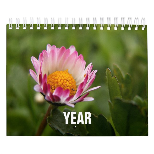 Calendrier Classique, Familaire (Protection)