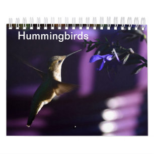 Calendrier Colibri
