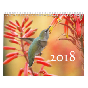 Calendrier Colibri