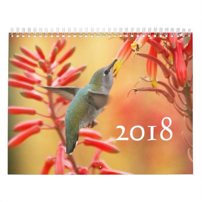 Calendrier Colibri (Protection)
