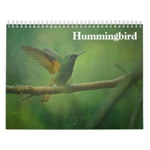 Calendrier Colibri 2025