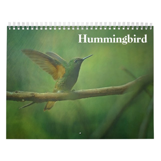 Calendrier Colibri 2027 (Protection)