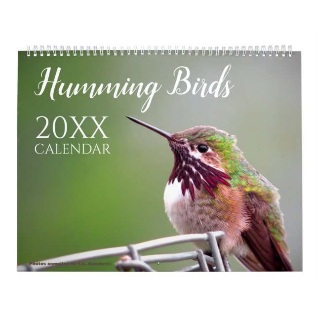 Calendrier Colibri Oiseau Nature Faune Mur (Protection)