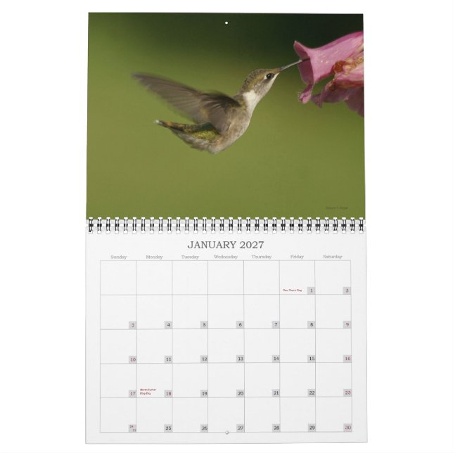Calendrier Colibris - 2010 (Jan 2027)