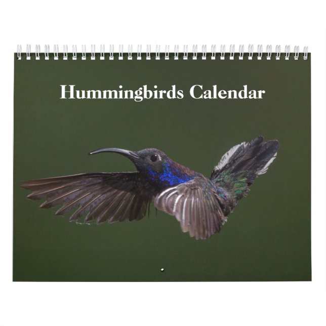 Calendrier Colibris 2025 (Protection)