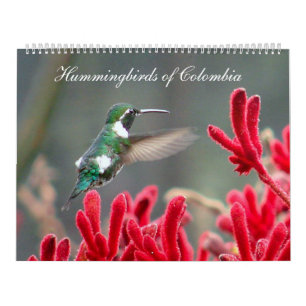 Calendrier Colibris de la Colombie