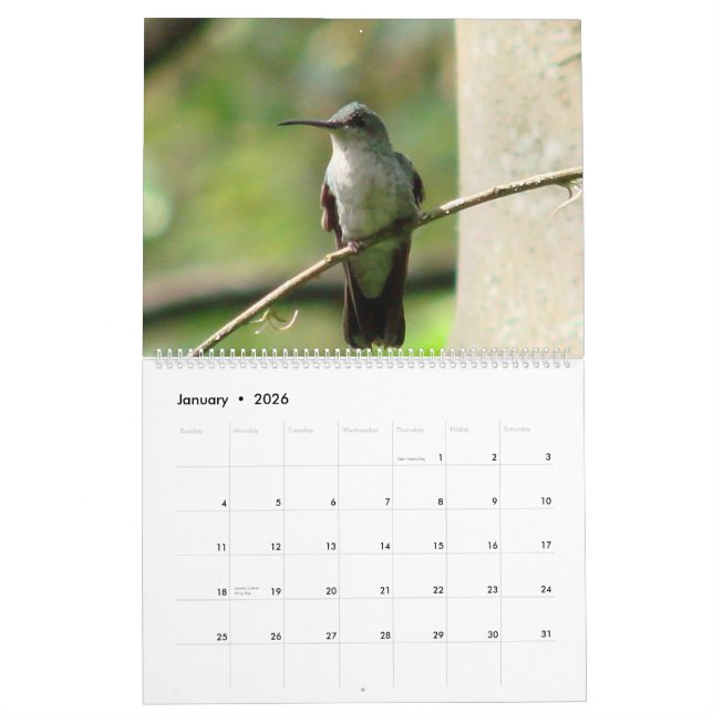 Calendrier Colibris de la Colombie (Jan 2026)