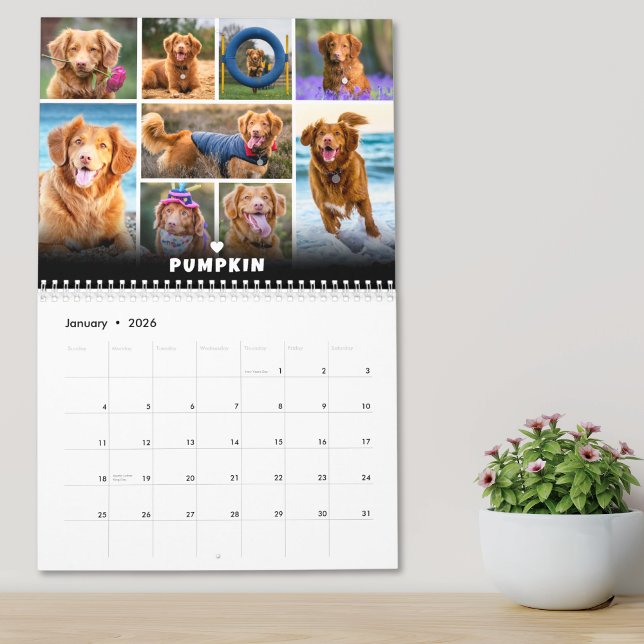 Calendrier Collage photo de chien d'animaux de compagnie (Pet Dog Photo Collage Calendar)