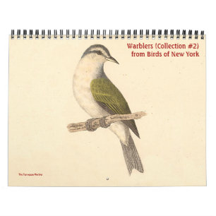 Calendrier Collection de parulines #2 Lithographies d'oiseaux