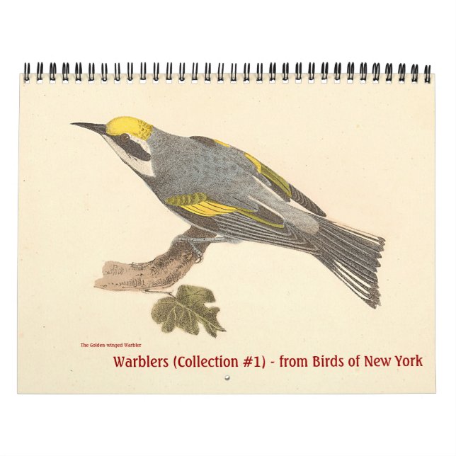 Calendrier Collection de parulines no 1 Lithographies d'oisea (Protection)