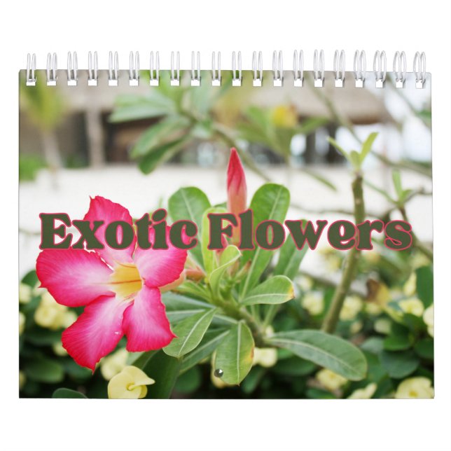 Calendrier Collection Fleurs exotiques Showcase Wall Calendri (Protection)