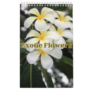 Calendrier Collection Fleurs exotiques Showcase Wall Calendri