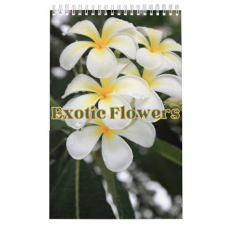 Calendrier Collection Fleurs exotiques Showcase Wall Calendri