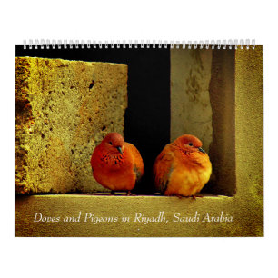 Calendrier Colombes et pigeons