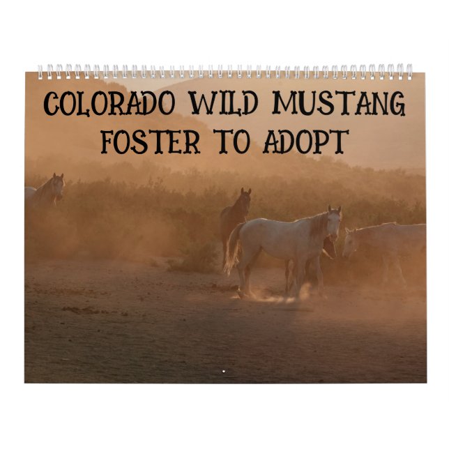 Calendrier Colorado Foster to Adopt (Protection)