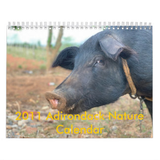 Calendrier Conception de porc de ferme