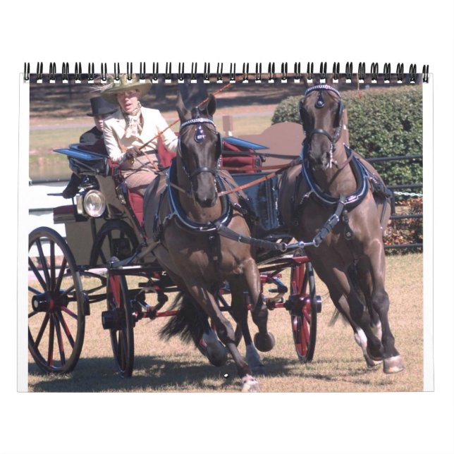 Calendrier conduite de chevaux (Protection)