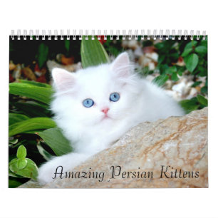 Calendrier confortable de 2010 chatons - customis