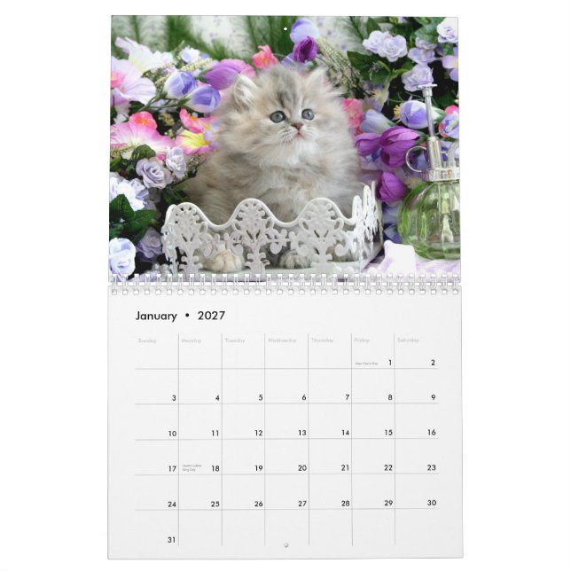Calendrier confortable de 2010 chatons - customisé (Jan 2027)