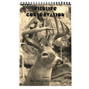 Calendrier Conservation de faune