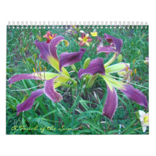 Calendrier Contact des Daylilies de Sun II