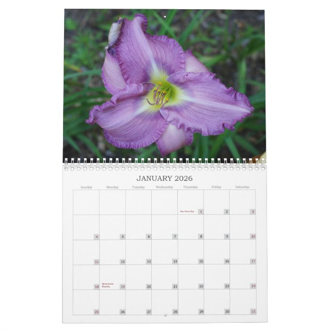Calendrier Contact des Daylilies de Sun II (Jan 2026)