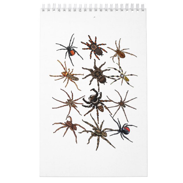 Calendrier Cool Spider Pour Hommes Femmes Arachnid Éffrayant  (Protection)