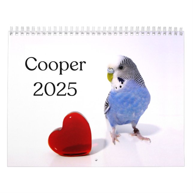 Calendrier Cooper le Budgie 2025 (Protection)