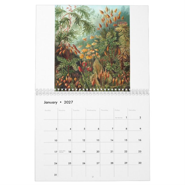 Calendrier Copies d'Ernst Haeckel (Jan 2027)