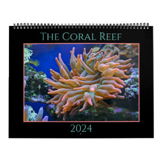 Calendrier Coral Reef