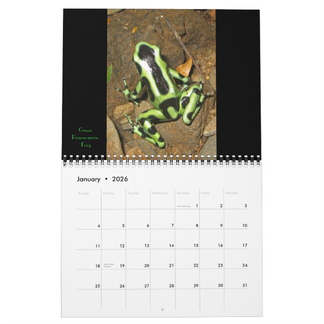 Calendrier Costa Rica 2011 (Jan 2026)