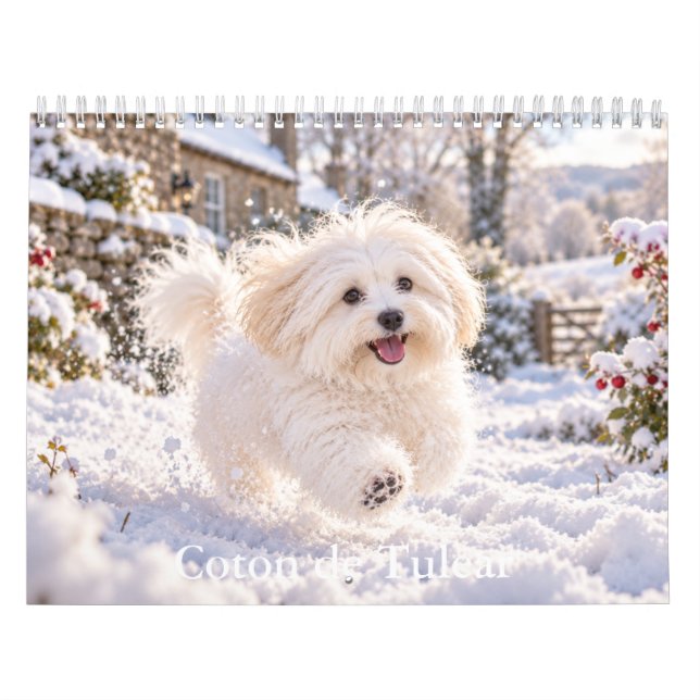 Calendrier Coton de Tulear (Protection)