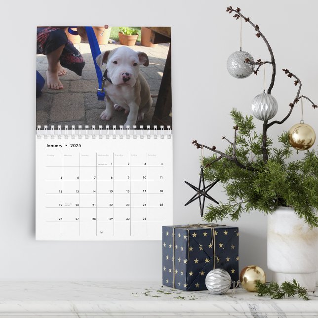 Calendrier Coup de marionnette 2021 (Hello Pet Puppy Custom Calendar)