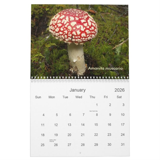 Calendrier Couverture, champignons du nord-ouest (Jan 2026)