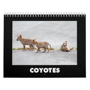Calendrier Coyotes Calendar