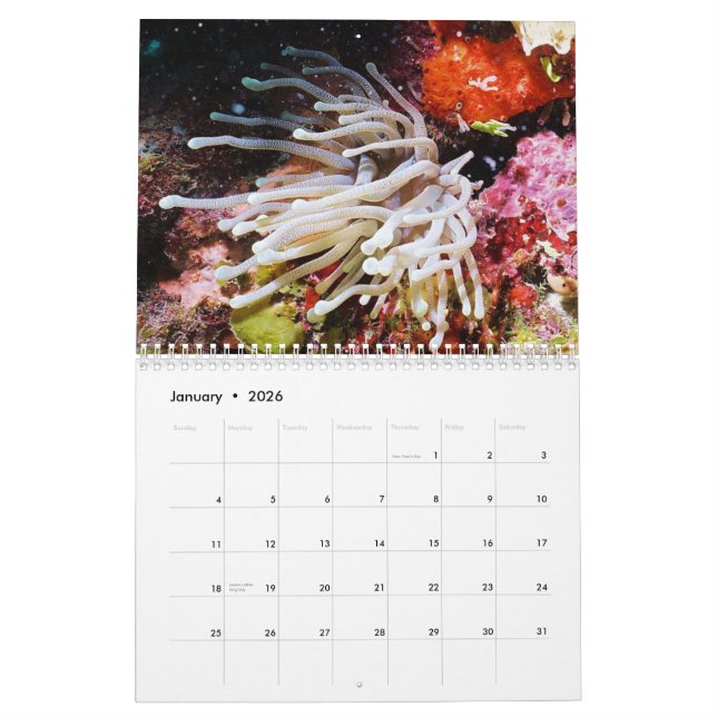 Calendrier Cozumel 2011 sous-marin (Jan 2026)