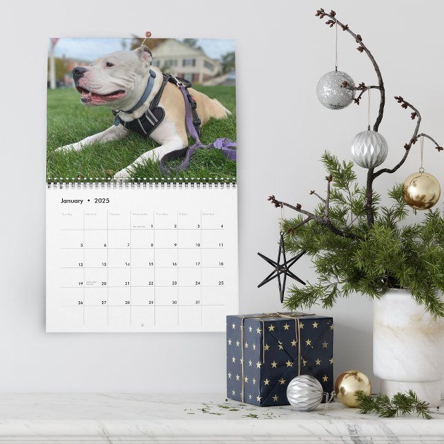 Calendrier Création de souvenirs de chien personnalisés (Hello Pet Puppy Custom Calendar)