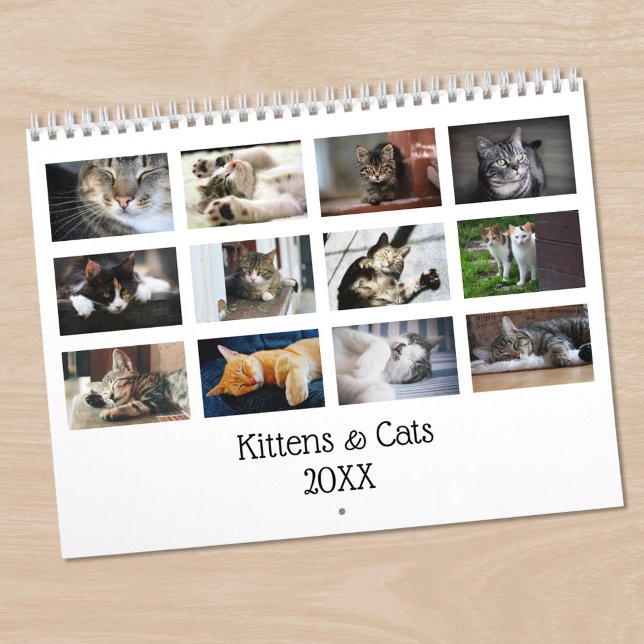 Calendrier Créez votre propre chats mignons chatons chatons p (Create Your Own Cute Cats Kittens 2025 Pet Photo Calendar, in situ)