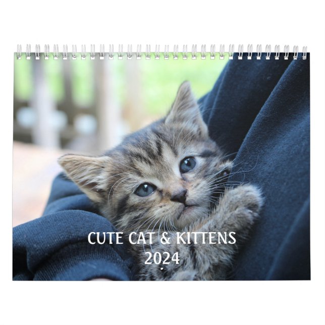 Calendrier Créez votre propre mignonne amusant chat animal de (Protection)
