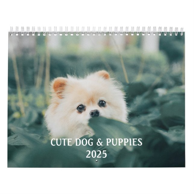 Calendrier Créez votre propre photo de chiot de chien mignon (Protection)