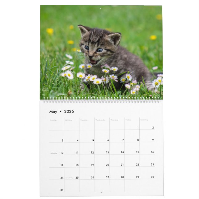 Calendrier Cuddly Cute Kitten Pet Kitty Cats Feline 2020 (Mai 2026)