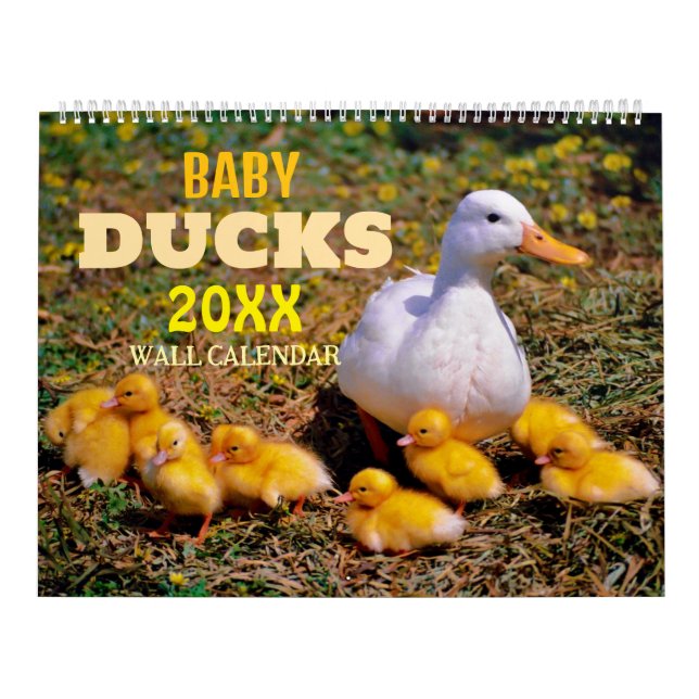 Calendrier Cute Baby Ducks 2025 Wall Calendar (Protection)