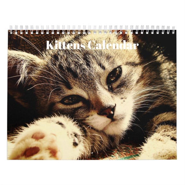 Calendrier Cute Bengal Kittens 2023 (Protection)