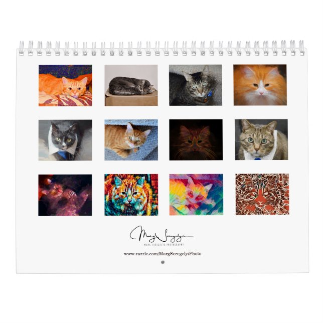 Calendrier Cute Cats Photo Art Design 2023 Mensuel (Dos)